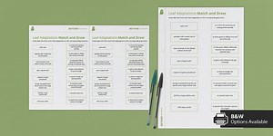 Leaf Adaptations Match and Draw