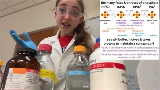 Brianna Bibel on Instagram: "A practical guide to phosphate buffers. . . Confused about which phosphate’s which? Count the counterions! There will be one per “base” because each of those cations is basically taking a proton’s place! YouTube: https://youtu.be/2RP8USixbDs Dihydrogen phosphate (H₂PO₄⁻) is monobasic and Monohydrogen phosphate (HPO₄²⁻) is dibasic You can remember this by reasoning through it… Starting by recognizing that a phosphate ion in its fully deprotonated form (PO₄³⁻) has 3 ox