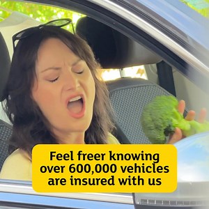 Feel Freer than ever, knowing you’ve joined over 600,000 vehicles insured with AA insurance | AA Insurance