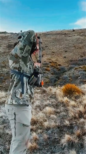 Digital Bow Hunting a Deer – Amazing Virtual Archery Skill! #DigitalHunting #VirtualArchery #archery