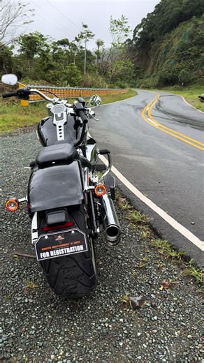 Unveiling the Harley Davidson Fatboy with 117 Cubic Engine