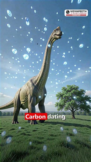 How is the age of ancient fossils determined using carbon dating? #physicswallah #shorts