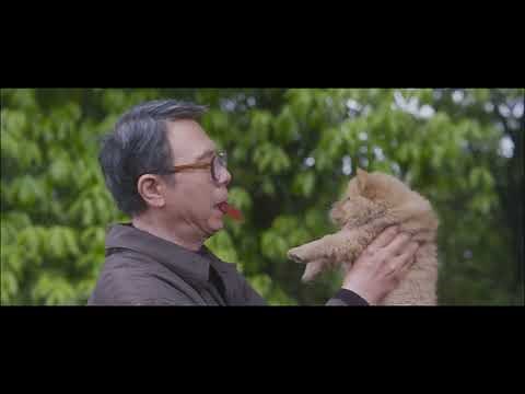 Hachiko2: Siempre a tu lado (HACHIKO) - Trailer Oficial