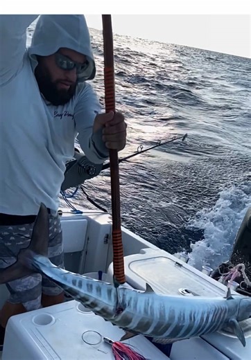 Honestly. How many people have had a bad gaff shot and care to share the story? Most people comment negativity but myself, @JEcheverri @Controlled Chaos Fishing probably have over 2000 wahoo combined and still we don’t get the perfect head shot Everytime. This question is like asking a degenerate gambler to talk about there losses. 😂😂 #wahoo #fish #fishing #knotfornothingfishing #saltlife