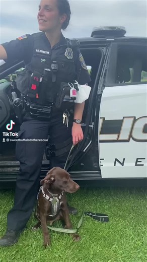 18K views · 525 reactions | West Seneca Police Officers helping rescue puppy get adopted  Buddy's Second Chance Rescue | Sweet Buffalo | Facebook