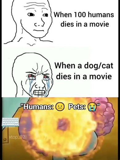 #catmemes