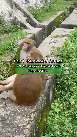 Nepal 2023 | PART 1 - Monkeying Around 🙈 #travel #outdoors #adventuretravel #explore #k2adventuretravel #lifechanging #nepal