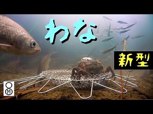 わな新型？ 水路に仕掛けてみた…★解説ブログあり