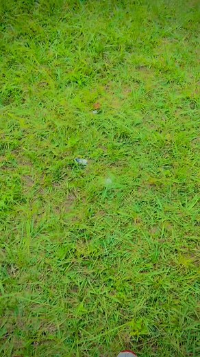 S Khrizy's New Release