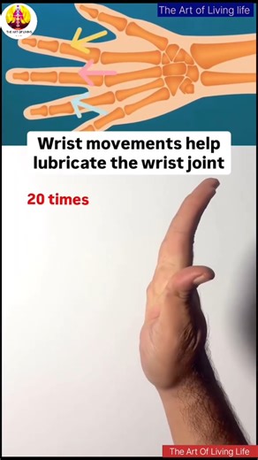 4 exercises help you in wrist arthritis Wrist movements help lubricate the wrist joint 20 times
