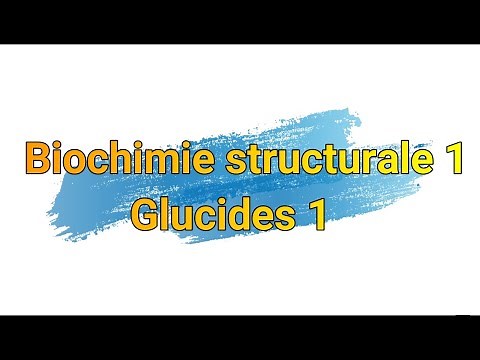 CARBOHYDRATES 1 (Structural Biochemistry, Structure and Properties of Carbohydrates)