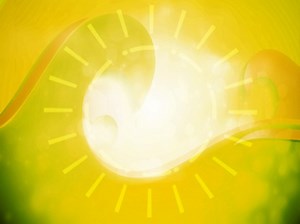 Summer Fun 7 Motion | Playback Media