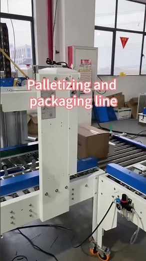 Automatic Palletizing Packaging Line | Robotic End-of-Line Packaging Solution