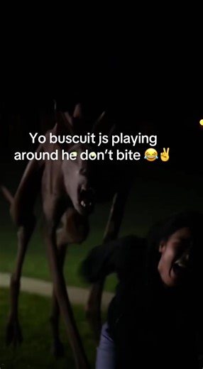 Silly dog 🤪 #scary #fyp #creepy #viral #trend | Silly Dogs