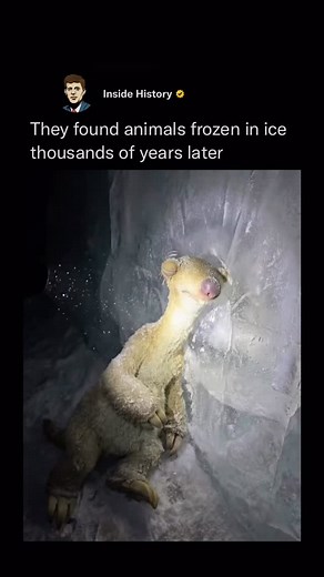 Inside History | A new AI-generated video by 3D artist Itay Shay reimagines the Ice Age characters—Manny, Sid, Diego, and Scrat—slowly emerging from... | Instagram