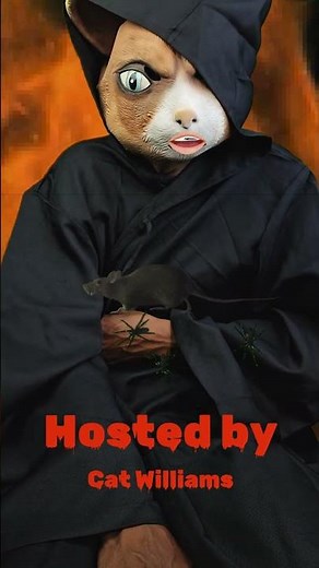 80s Halloween Theme Cartoon Compilation | #halloween #saturdaymorningcartoons #tricks #80s