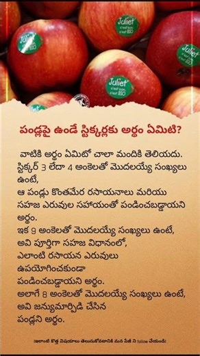 Do You Know What Stickers on Fruits Really Mean? | Shocking Truth