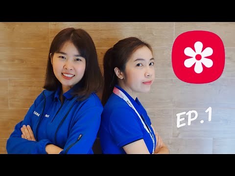 App Gallery (แกลเลอรี)| ตอน1 การจัดระเบียบรูปภาพและอัลบั้ม