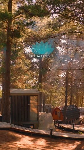 GRACIAS GRACIAS GRACIAS 🩵🍃 9 años creciendo junto a ustedes y creando un lugar bonito, siempre fiel a nuestra esencia. Con el tiempo hemos ido incorporando terapias, sesiones de yoga, animal flow y pilates, ampliando la experiencia sin perder lo que somos. Todo lo que hacemos es para ustedes, y nos tiene muy contentos ver cómo este espacio sigue creciendo y recibiéndolos. Gracias por acompañarnos, confiar y ser parte de estos 9 años en Buda Lodge. | Buda Lodge Pichilemu