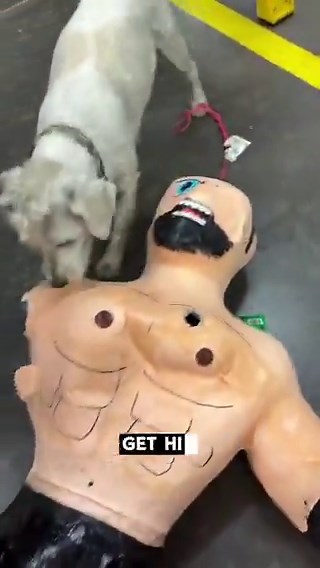 Liv Morgan and Judgment Day threw Dominik Mysterio a birthday party at WWE Raw with A FINN BALOR PIÑATA 😂😂