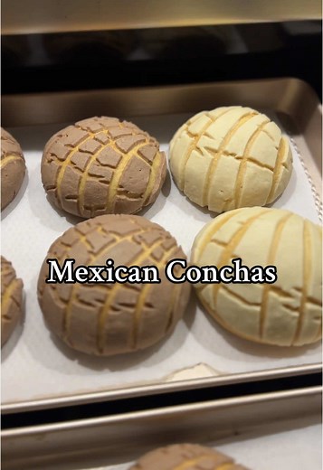 Mexican Conchas Tutorial: Step-by-Step Guide