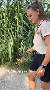 3.5K views · 98 reactions | One of my favorite things about working at “the best little zoo in Texas” is getting to cross train and work with animals and staff in other sections. Here’s Kalynn and I taking the mini horses on their daily walk.  S. Sprowls #bestlittlezoointexas | Frank Buck Zoo | Facebook
