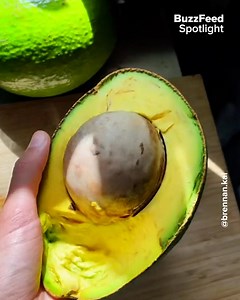 @brennankai shows us how to store food properly to avoid food waste! | BuzzFeed