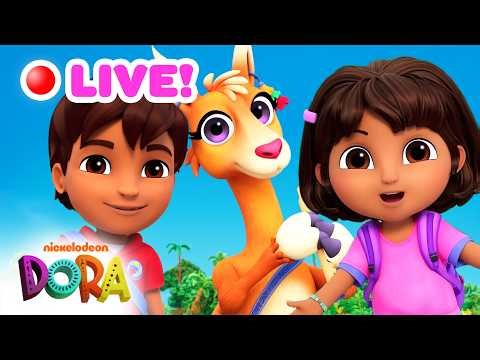🔴 LIVE: Dora & Diego Animal Adventures! 🦙 24/7 Livestream | Dora & Friends
