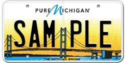Michigan offers a variety of license plates. These are the most popular