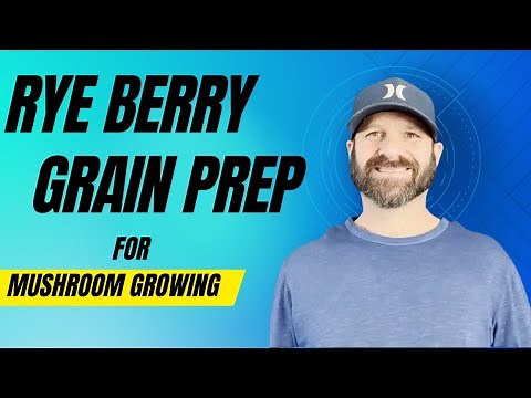 How to Prep and Sterilize Rye Berries for Mushroom Growing.