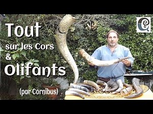 Tout sur les Cors et Olifants