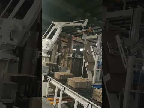 Robot Palletizer for high speed FFG #boxmachine #machine #cartonmachine