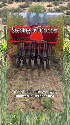 Inside Our Vineyard Cover Crop Program