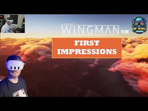 Project Wingman VR - First Impressions - Meta Quest 3 / PCVR / Thrustmaster T16000M FCS Hotas