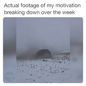 10K views · 159 reactions | This quarantine's got me (falling) down...  | WatchMojo | Facebook