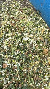 14K views · 55 reactions | The CVT (Continuously Variable Transmission) Chaff Cutter supports gear shifting while running, with multiple adjustment options. Cutting length can be freely adjusted between 6mm and 25mm. It delivers a high crushing rate and excellent performance!#chaffcutter #farmer #machinery #dawnagro | Dawn Agro Machinery | Facebook