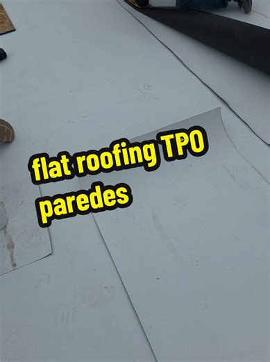 Flat Roofing TPO: A Complete Guide for Homeowners