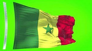 High Detailed Flag Senegal National Senegal Stock Footage Video (100% Royalty-free) 1107215933 | Shutterstock
