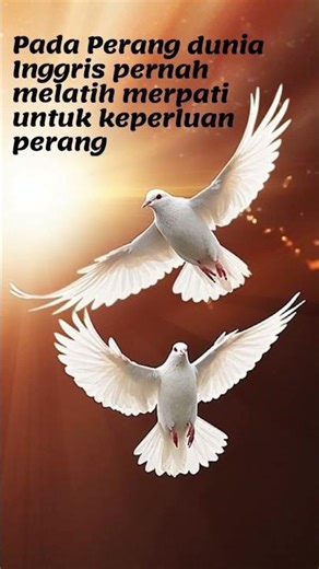LIHAT PENJELASANNYA