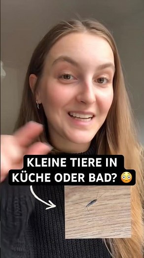 SILBERFISCHE IN DER WOHNUNG? 🆘 So erkennst su sie und wirst sie wieder los! 🤓