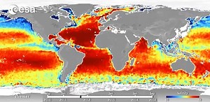 Five years of global sea-surface salinity from space