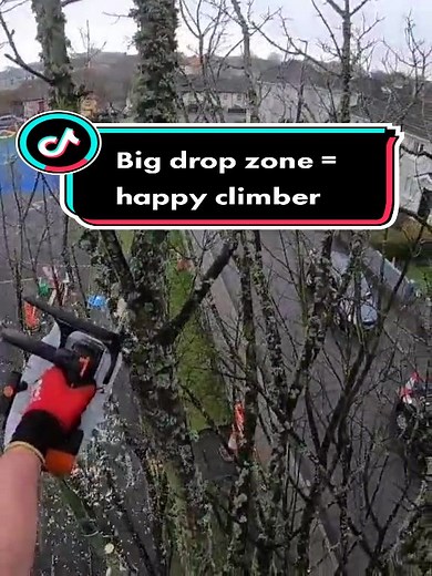 Irish_Arborist on TikTok