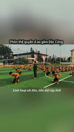 Kỹ Thuật Phân Thế Dao Găm Đặc Công Việt Nam