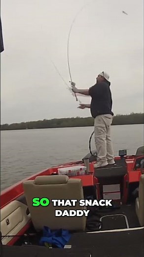 Swim Jig Secrets: Catch More Fish with This Trailer Trick!