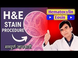 H&E Staining Explained in Hindi | Hematoxylin & Eosin Stain Full Procedure 🔬📚 | DMLT 2nd Year