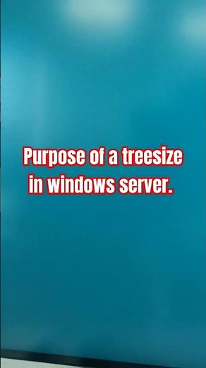 Treesize in the windows VM #computer #windows #windowsserver #windowstricks #treesize #asmr