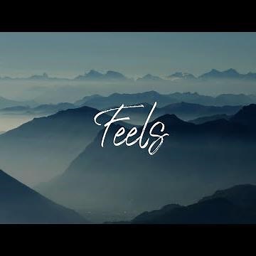 Mufasa Rex × Prachi - Feels ( Animated Music Video)