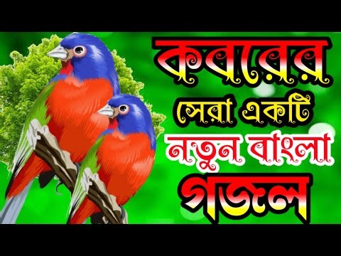 A new Ghazal of the grave.. Very heart touching Ghazal.. Islamic Ghazal.. SD GOJOL TV