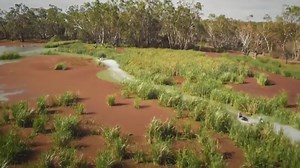 34K views · 264 reactions | Racing Souped-Up 30hp Dinghies -...