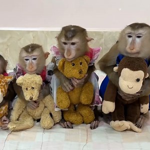 5.4K views · 125 reactions | 4 Siblings sit hugging teddy bear each very obediently waiting Mom to come & comfort them to sleep , | Samantha Steuber | Facebook